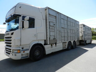 SCANIA R560 + livestock trailer