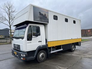 MAN LE 8-180 HORSE TRUCK - 4 PAARDS