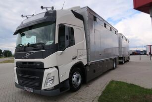 new Volvo FM 330 Globetrotter livestock truck